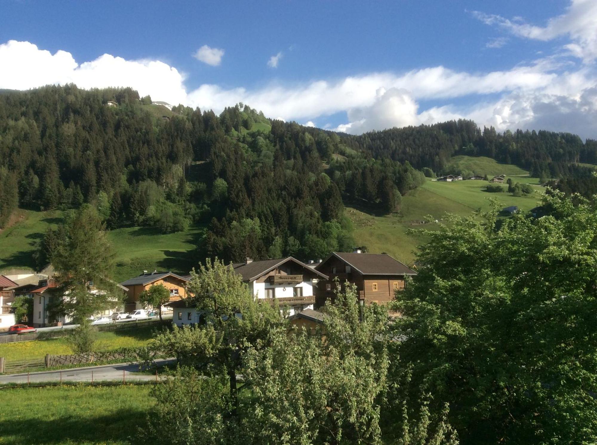 Kitzbuheler Alpen Penthouse Hollersbach Apartment ฮอลเลอร์บาค อิม พินซ์เกา ภายนอก รูปภาพ