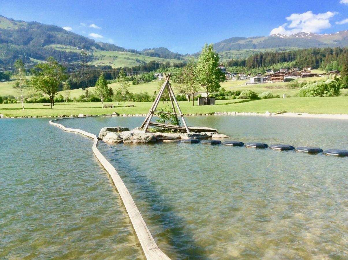 Kitzbuheler Alpen Penthouse Hollersbach Apartment ฮอลเลอร์บาค อิม พินซ์เกา ภายนอก รูปภาพ